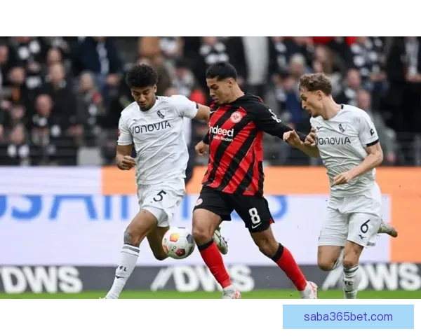 世界杯竞猜赛事直播全面开启 热门赛事实时分析与精彩预测全程跟踪