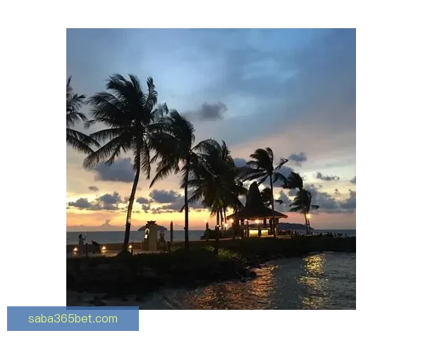 沙巴APP下载安装指南，快速体验沙巴精彩功能，轻松享受娱乐生活